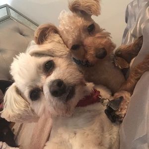 Meet your Posher, Abiola